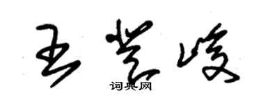 朱錫榮王登峻草書個性簽名怎么寫