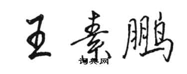 駱恆光王素鵬行書個性簽名怎么寫