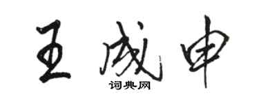 駱恆光王成申行書個性簽名怎么寫