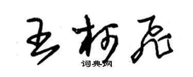 朱錫榮王柯飛草書個性簽名怎么寫