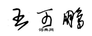 朱錫榮王可鵬草書個性簽名怎么寫