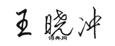 駱恆光王曉沖行書個性簽名怎么寫