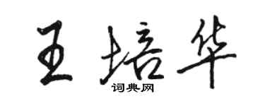 駱恆光王培華行書個性簽名怎么寫