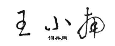 駱恆光王小南草書個性簽名怎么寫