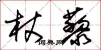 朱錫榮杖藜草書怎么寫