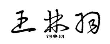 曾慶福王林羽草書個性簽名怎么寫
