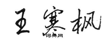 駱恆光王寒楓行書個性簽名怎么寫