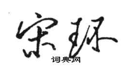 駱恆光宋環行書個性簽名怎么寫