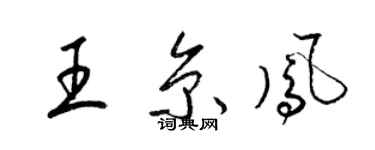 梁錦英王京鳳草書個性簽名怎么寫