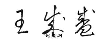 駱恆光王成盛草書個性簽名怎么寫