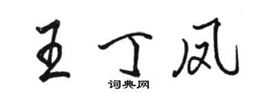 駱恆光王丁鳳行書個性簽名怎么寫