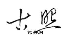 駱恆光古照草書個性簽名怎么寫