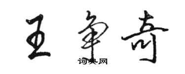 駱恆光王爭奇行書個性簽名怎么寫