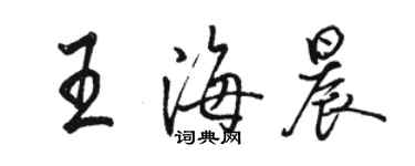 駱恆光王海晨行書個性簽名怎么寫