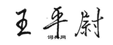 駱恆光王平尉行書個性簽名怎么寫