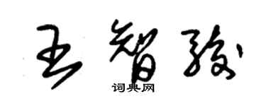朱錫榮王智駿草書個性簽名怎么寫