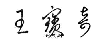 駱恆光王寶奇草書個性簽名怎么寫