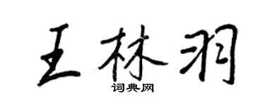 王正良王林羽行書個性簽名怎么寫