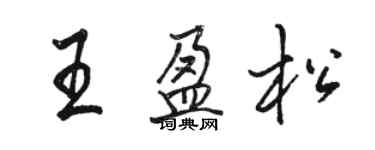 駱恆光王盈松行書個性簽名怎么寫