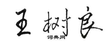 駱恆光王樹良行書個性簽名怎么寫