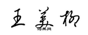 梁錦英王美柳草書個性簽名怎么寫