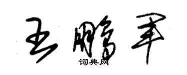 朱錫榮王鵬軍草書個性簽名怎么寫