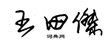 朱錫榮王田傑草書個性簽名怎么寫