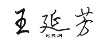 駱恆光王延芳行書個性簽名怎么寫