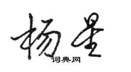 駱恆光楊星行書個性簽名怎么寫