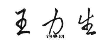 駱恆光王力生行書個性簽名怎么寫