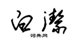 朱錫榮白潔草書個性簽名怎么寫