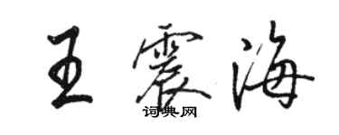 駱恆光王震海行書個性簽名怎么寫