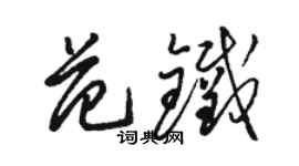 駱恆光范鐵草書個性簽名怎么寫