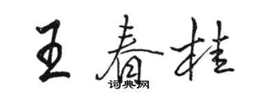 駱恆光王春桂行書個性簽名怎么寫