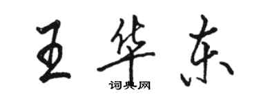 駱恆光王華東行書個性簽名怎么寫