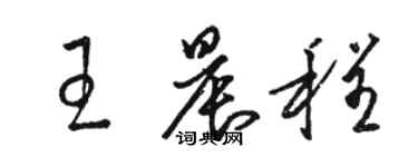 駱恆光王晨程草書個性簽名怎么寫