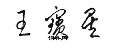 駱恆光王寶星草書個性簽名怎么寫