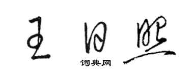 駱恆光王日照草書個性簽名怎么寫