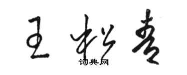 駱恆光王松青草書個性簽名怎么寫