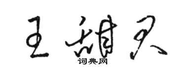 駱恆光王甜君草書個性簽名怎么寫