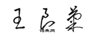 駱恆光王良菊草書個性簽名怎么寫