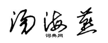 朱錫榮湯海燕草書個性簽名怎么寫
