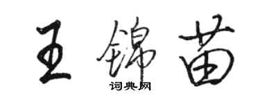 駱恆光王錦苗行書個性簽名怎么寫