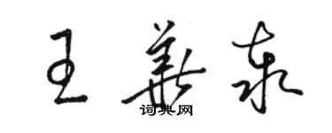 駱恆光王華泰草書個性簽名怎么寫