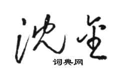 駱恆光沈金草書個性簽名怎么寫