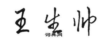 駱恆光王生帥行書個性簽名怎么寫