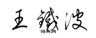 梁錦英王鐵波草書個性簽名怎么寫