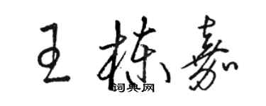 駱恆光王棟嘉草書個性簽名怎么寫