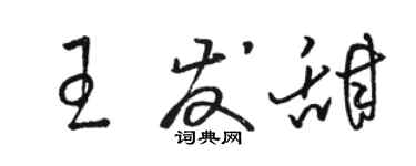 駱恆光王發甜草書個性簽名怎么寫
