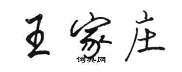 駱恆光王家莊行書個性簽名怎么寫